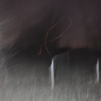 pariahcarrey - I Have Pity for Cobras