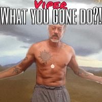 Viper - What You Gone Do?!
