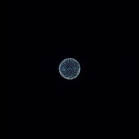 @Peace - @Peace and the Plutonian Noise Symphony