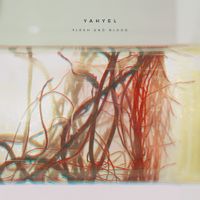 Yahyel - Flesh and Blood