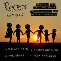 Skrillex & Kill The Noise - Recess (Remixes)