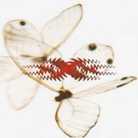Julien Andreas - Bottomfeeder