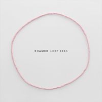 Roamer - Lost Bees