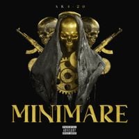 AK4:20 - MINIMARE