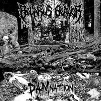 Belarus Beaver - DAMnation
