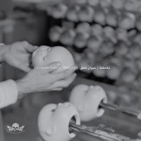 مقاطعة [Muqata'a] - Hayawan Nateq