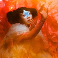 ena mori - DON'T BLAME THE WILD ONE