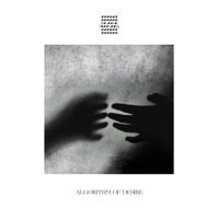 Same Waves - Algorithm of Desire