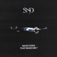 Sad Night Dynamite - What Does That Make Me?