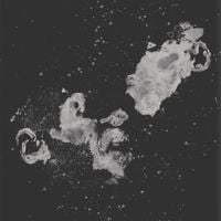Maxo - 48