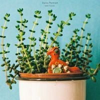 Swiss Portrait - Safe House