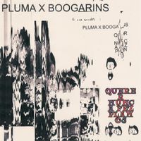 PLUMA - Querer Nunca Fez Planos