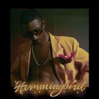 bLAck pARty - Hummingbird