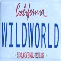 James Ferraro - Wild World