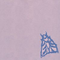 Sallow Moth - Failure to Find