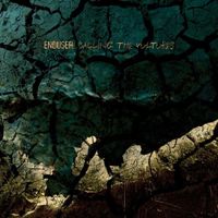 Enduser - Calling the Vultures