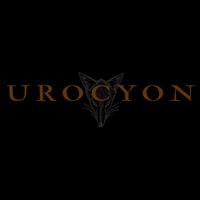 Urocyon - Urocyon