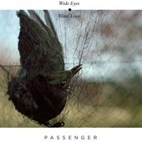 Passenger - Wide Eyes Blind Love