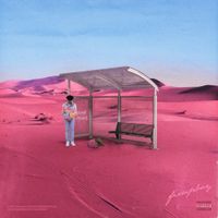 Fixupboy - Pink Roses
