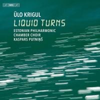 &Uuml;lo Krigul - &Uuml;lo Krigul: Liquid Turns