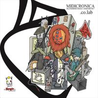 MIDICRONICA - .co.lab