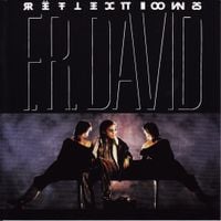 F.R. David - Reflections
