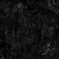 Vādin - Black Tortoise