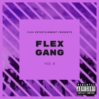 Various Artists - Flex Gang, Vol. 4