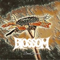 Blossom - DeadFlowers