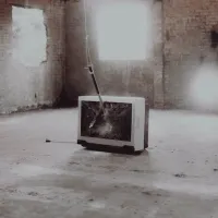 ANIIMALIA - Pressure Points