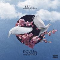 SZA - Doves in the Wind