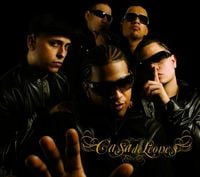 Casa de Leones - Casa de Leones