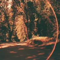 Beth Orton - Friday Night