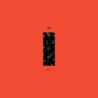 Tom Finster - Year Of I