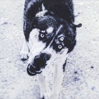 Kafabind&uuml;nya - Obi