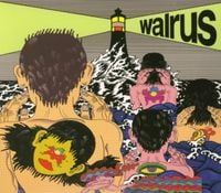 WALRUS - walrus