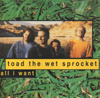 Toad the Wet Sprocket - All I Want