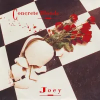 Concrete Blonde - Joey