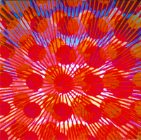 Optical*8 - Optical *8
