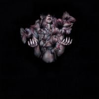 A Lot Like Birds - DIVISI Remixes