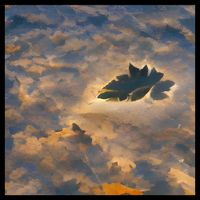 Derick Penrod - A Leaf Adrift