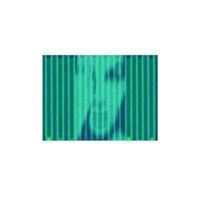 Cult Member - Last Week