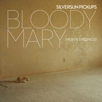 Silversun Pickups - Bloody Mary (Nerve Endings)