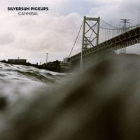 Silversun Pickups - Cannibal