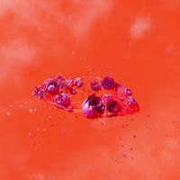 Ami Dang - The Living World&rsquo;s Demands