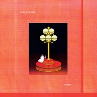 Spirit In The Room - Flamingo
