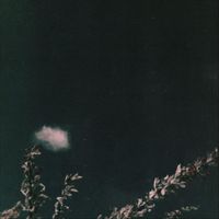 things falling apart - now wait for last year