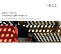 Curious Chamber Players - structures of light and spruce