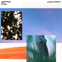 Vale-Smith - Wanna Fly