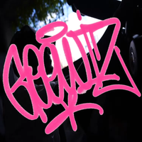 454 - GEEWIZ